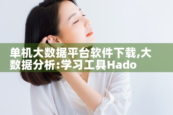 单机大数据平台软件下载