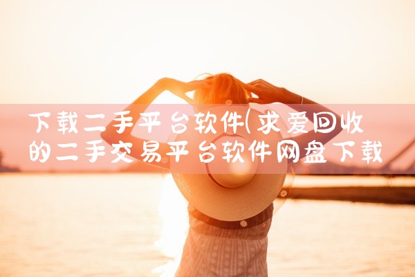 下载二手平台软件