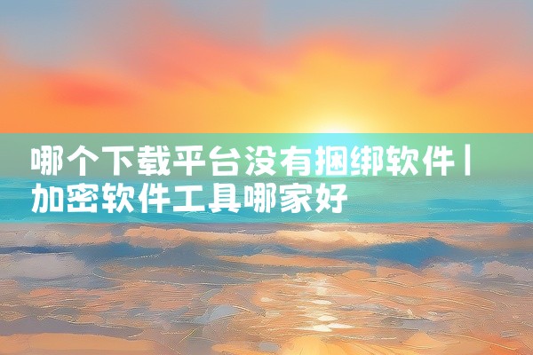 哪个下载平台没有捆绑软件
