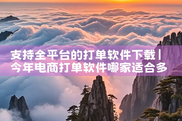 支持全平台的打单软件下载