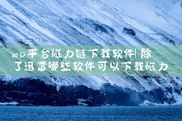 wp平台磁力链下载软件