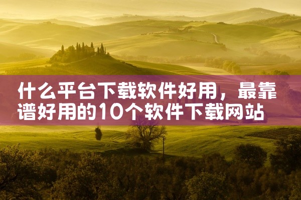 什么平台下载软件好用