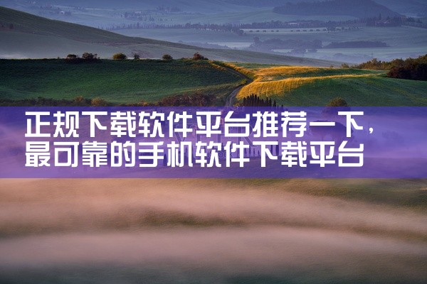 正规下载软件平台推荐一下