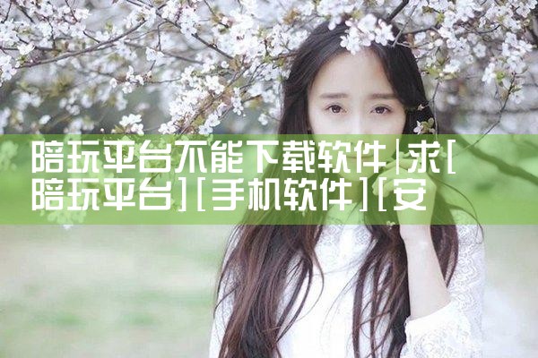 陪玩平台不能下载软件