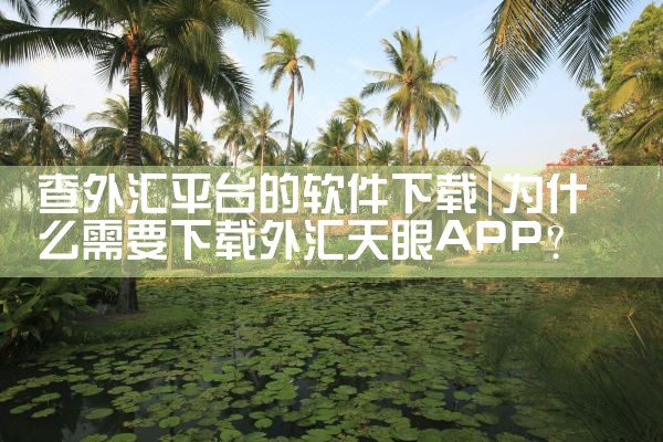 查外汇平台的软件下载