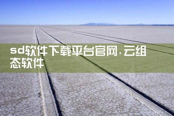 sd软件下载平台官网